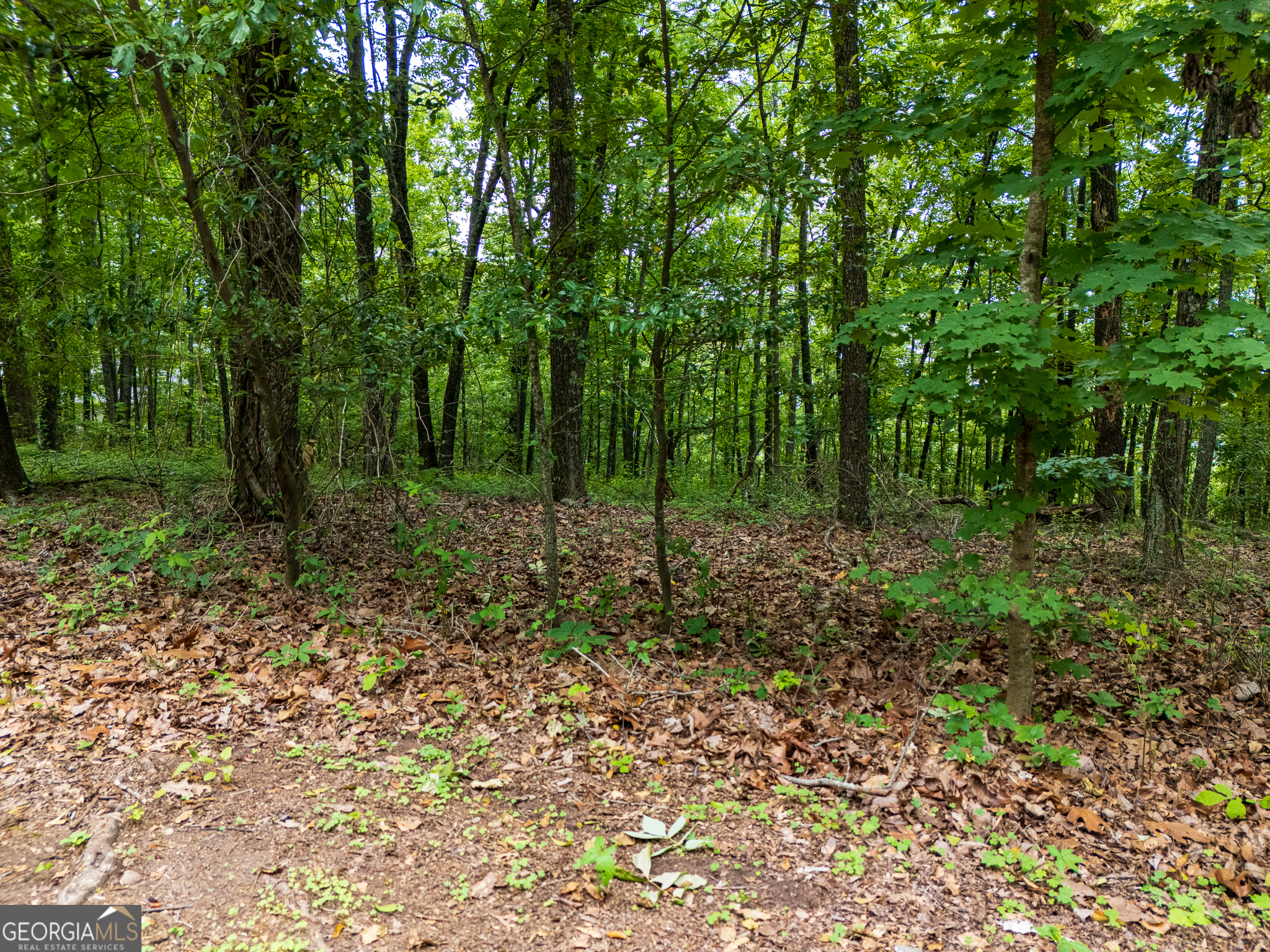 3.26-acres Mountain Ridge Drive Manchester, GA 31816 - Photo 7 of 9 a view of outdoor space and green space