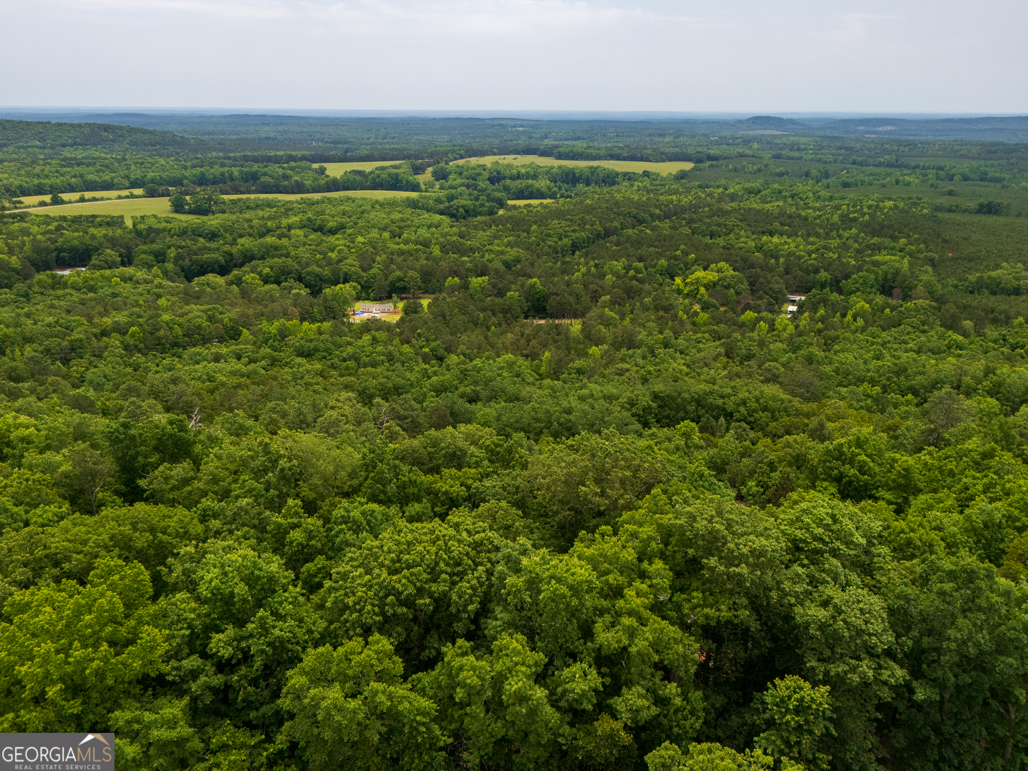 3.26-acres Mountain Ridge Drive Manchester, GA 31816 - Photo 9 of 9 a view of a field with an ocean view