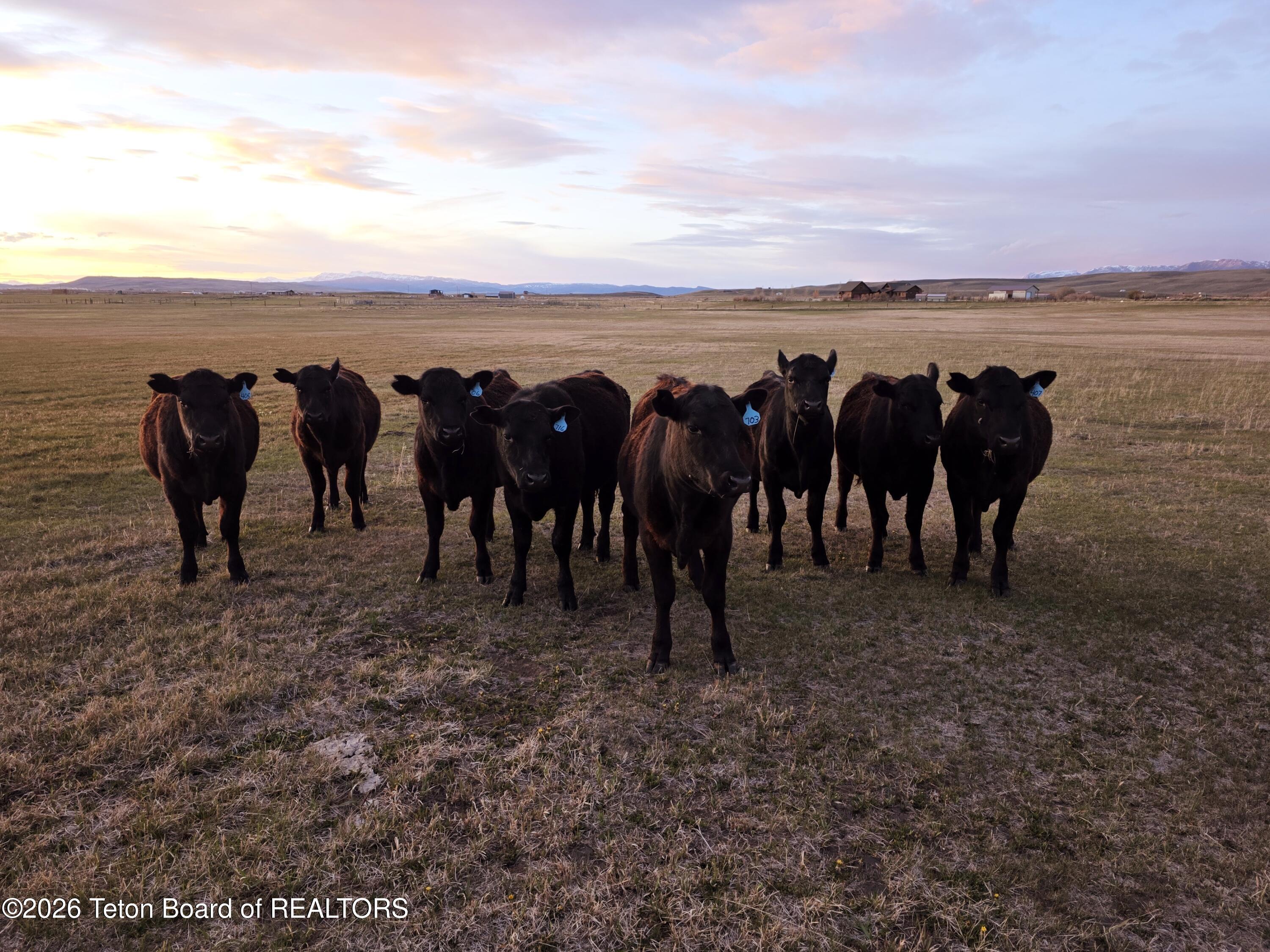 138-2 Forty Rod Road Pinedale, WY 82941 - Photo 76 of 77 20260522_204050