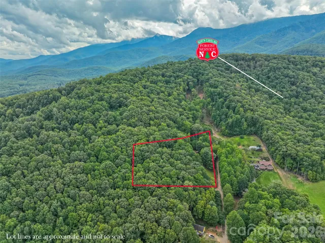 a view of a garden with a fountain and large trees