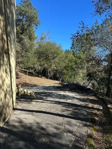 a view of backyard and tree