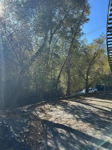 a view of a yard with trees on both side of it