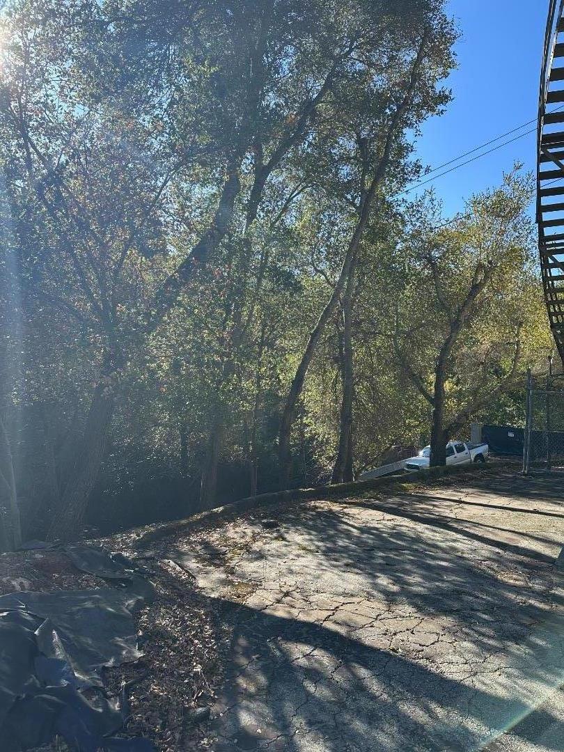 14700 Ambric Knolls Road Saratoga, CA 95070 - Photo 6 of 7 a view of a yard with trees on both side of it