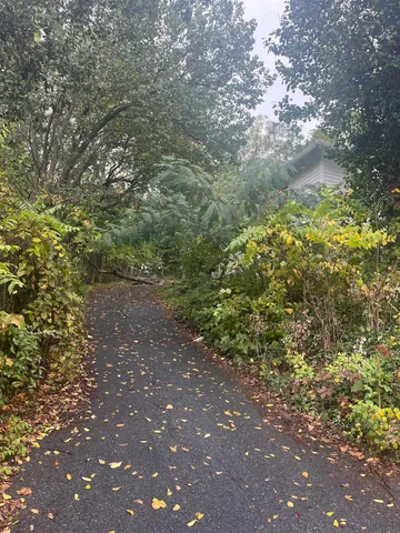 a view of a field with plants and trees