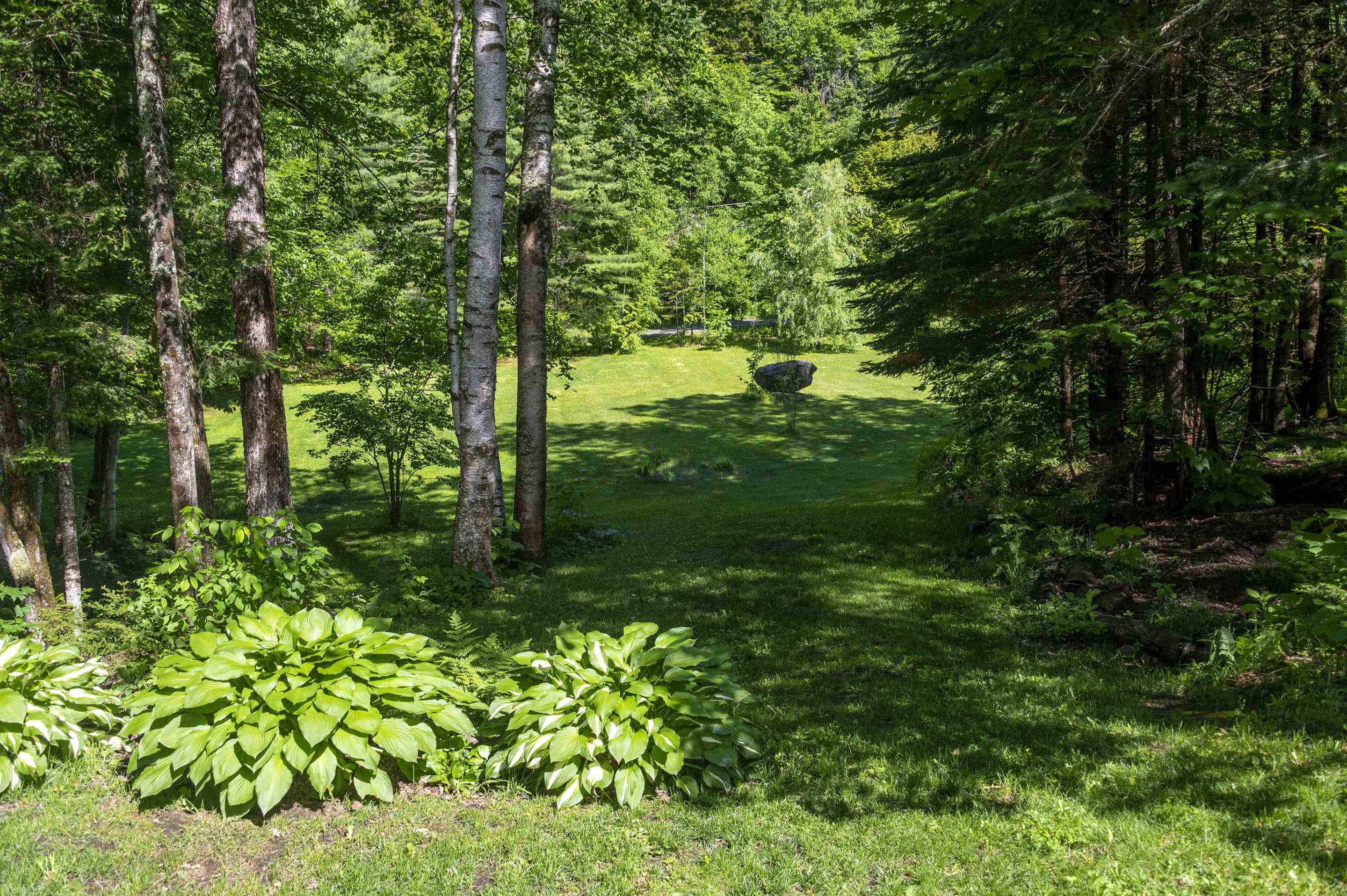 186 MacKenzie Road Worcester, VT 05682 - Photo 40 of 44