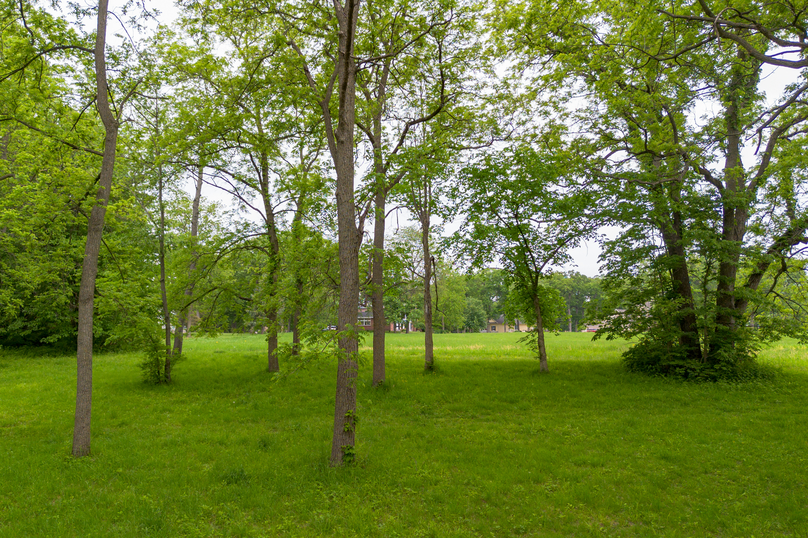 698 North 2853rd Road LaSalle, IL 61301 - Photo 29 of 39 a view of a park with trees in the background