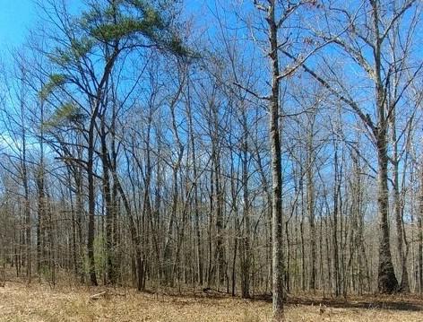1532 Woods Road Dunlap, TN 37327 - Photo 2 of 12 wood13