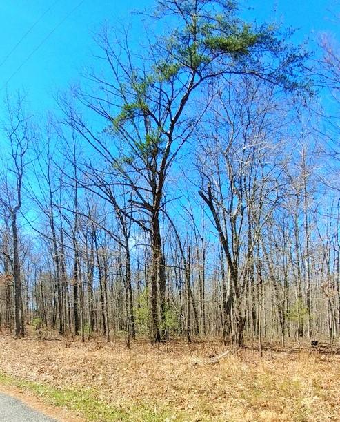 1532 Woods Road Dunlap, TN 37327 - Photo 3 of 12 w6