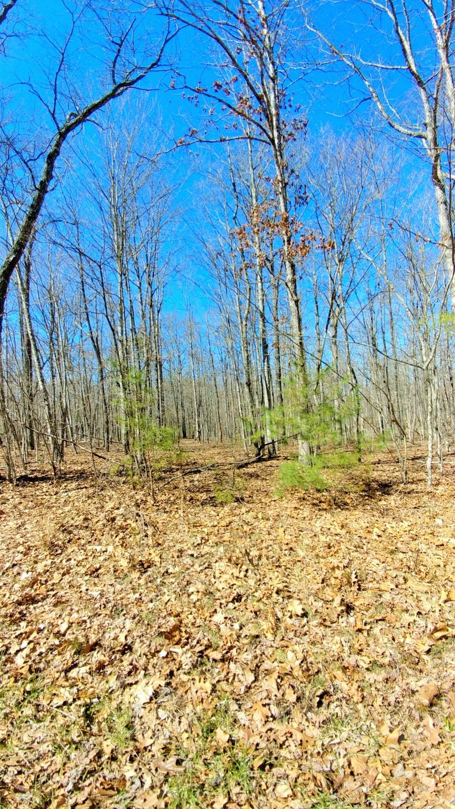 1532 Woods Road Dunlap, TN 37327 - Photo 7 of 12 w5