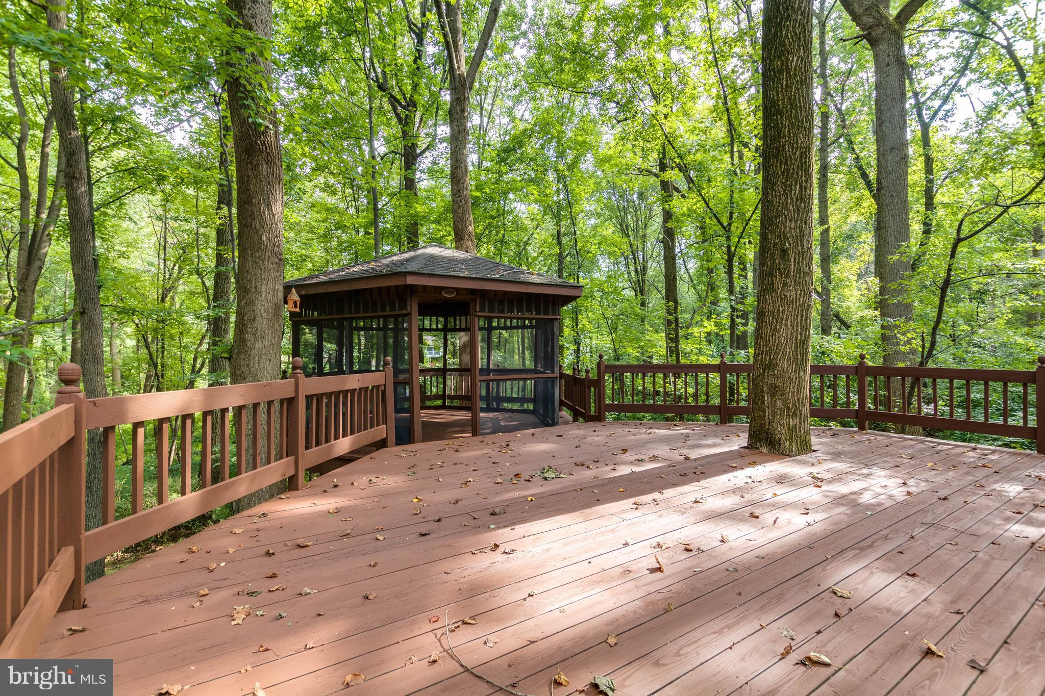 746 Chapel Ridge Road Lutherville-Timonium, MD 21093 - Photo 29 of 30 Beautiful Private Wooded View