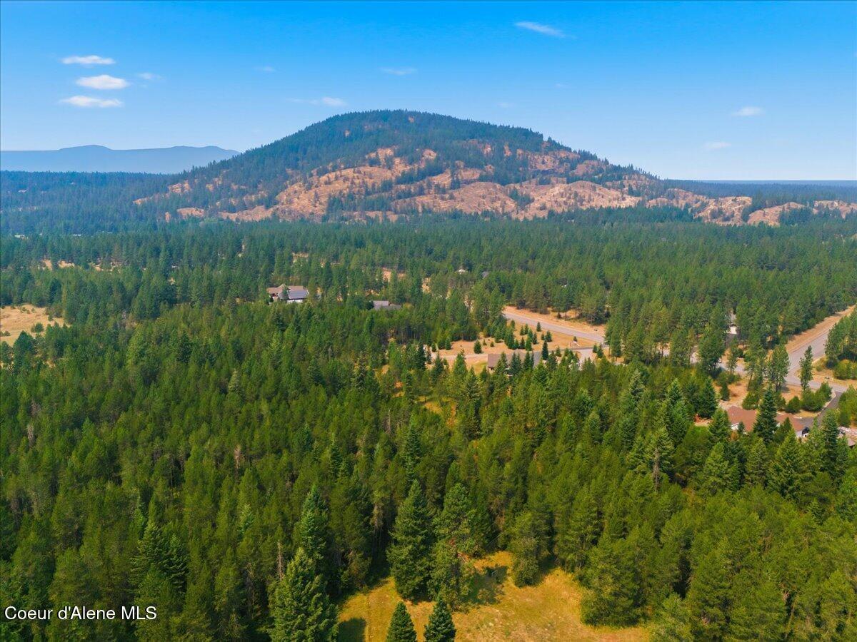 22262 North Massif Road Rathdrum, ID 83858 - Photo 50 of 61 Aerial Back of Home