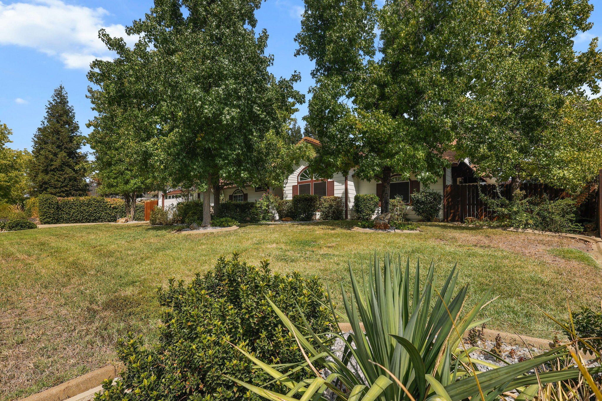 19271 Lexington Lane Redding, CA 96003 - Photo 3 of 39 a swimming pool with trees in the background
