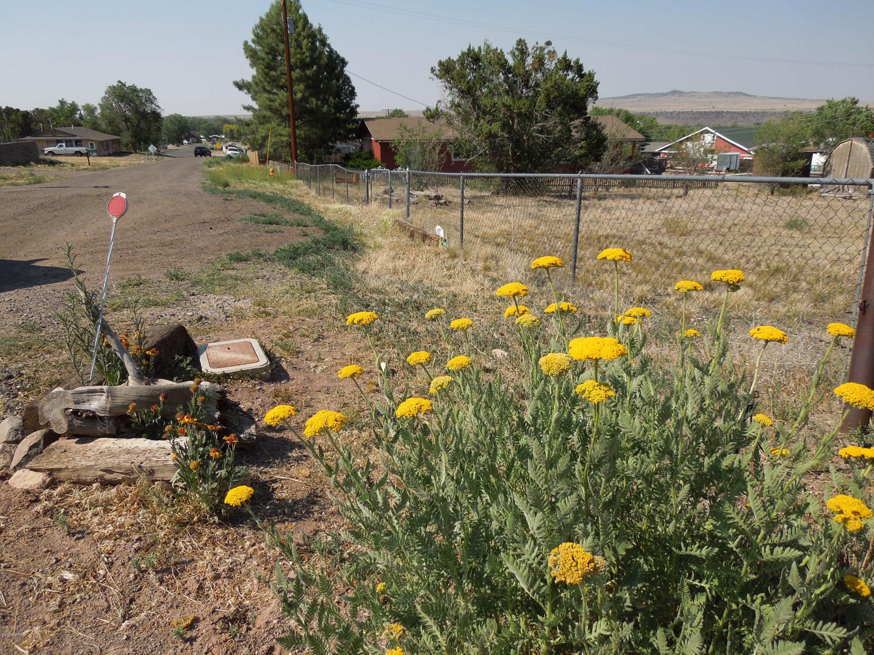524 Potawatomi Street Springerville, AZ 85938 - Photo 16 of 35