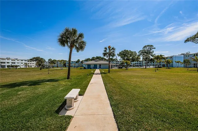a view of a park with large trees