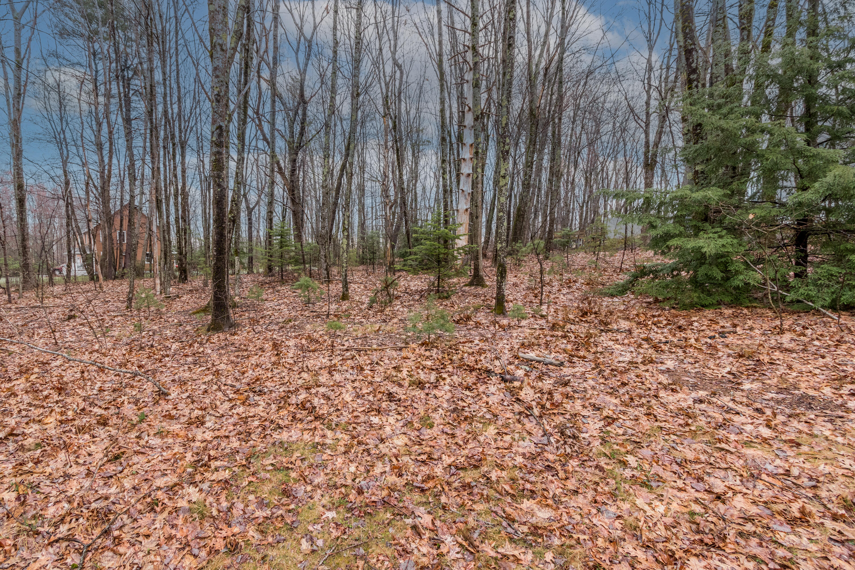 10 Country Woods Road Saco, ME 04072 - Photo 38 of 40 20230417JH-71070