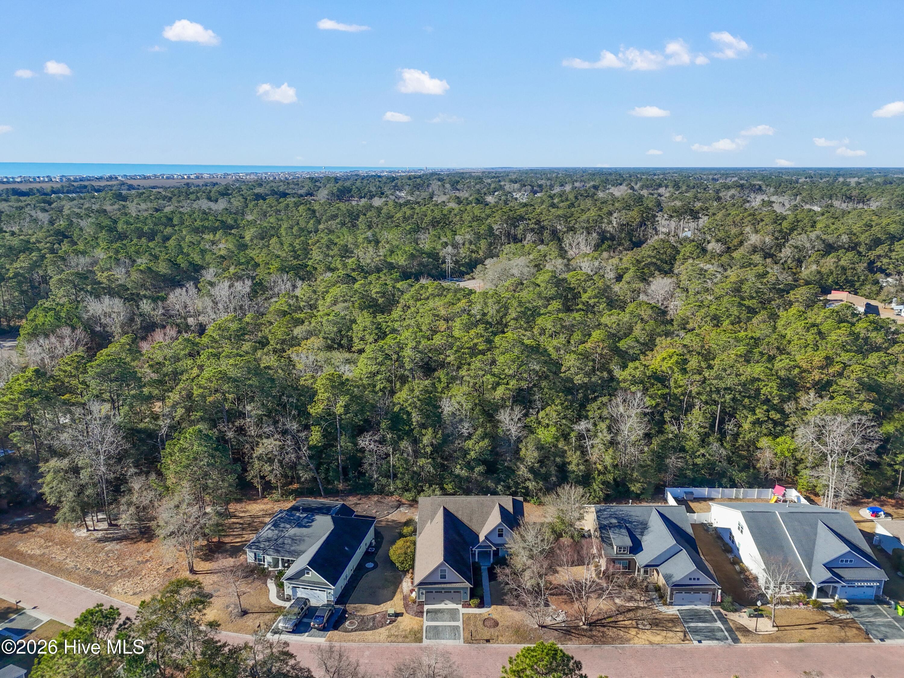 1678 Old Salt Run Southwest Shallotte, NC 28470 - Photo 55 of 73 1678OldSaltRunSW - 54 (1)