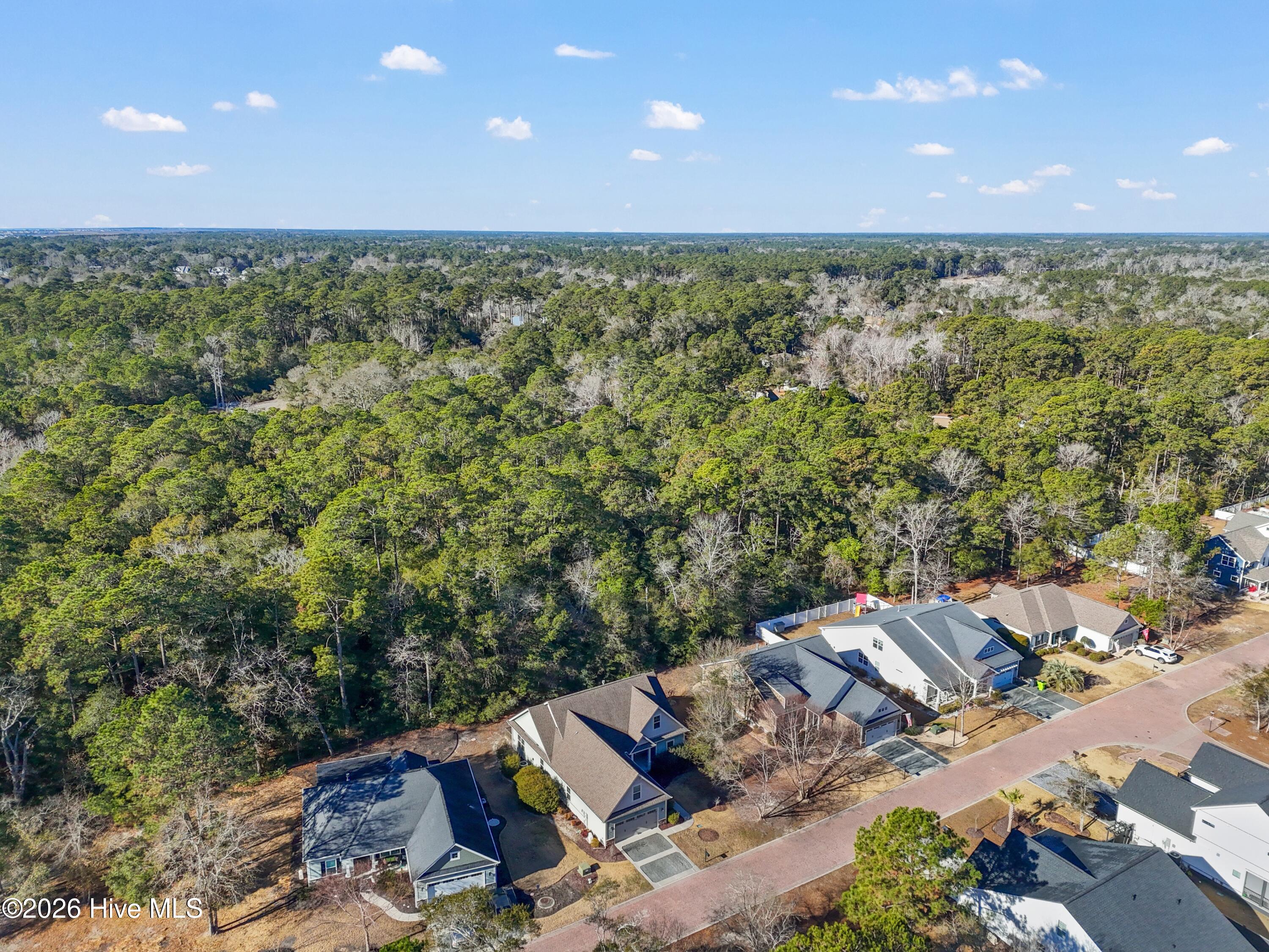 1678 Old Salt Run Southwest Shallotte, NC 28470 - Photo 57 of 73 1678OldSaltRunSW - 56 (1)