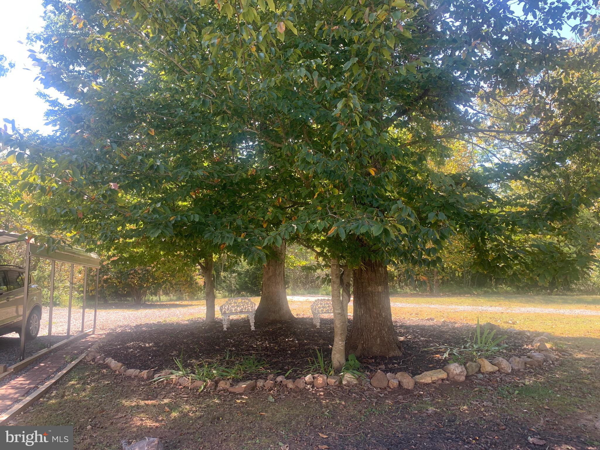 1756 Horseshoe Farm Road Louisa, VA 23093 - Photo 12 of 40