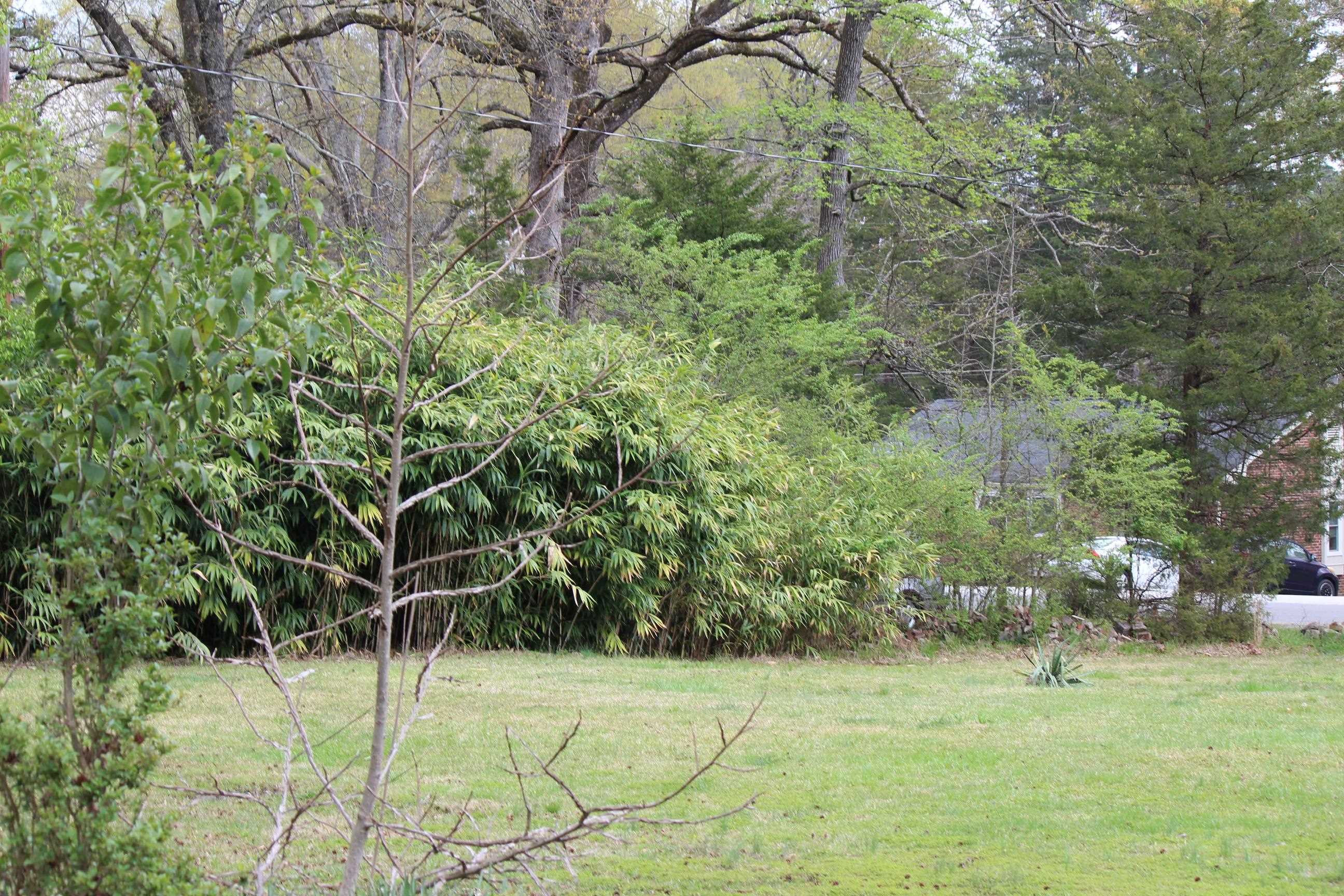 116 Pine Street Carrboro, NC 27510 - Photo 16 of 66 a backyard of a house with lots of green space and chair