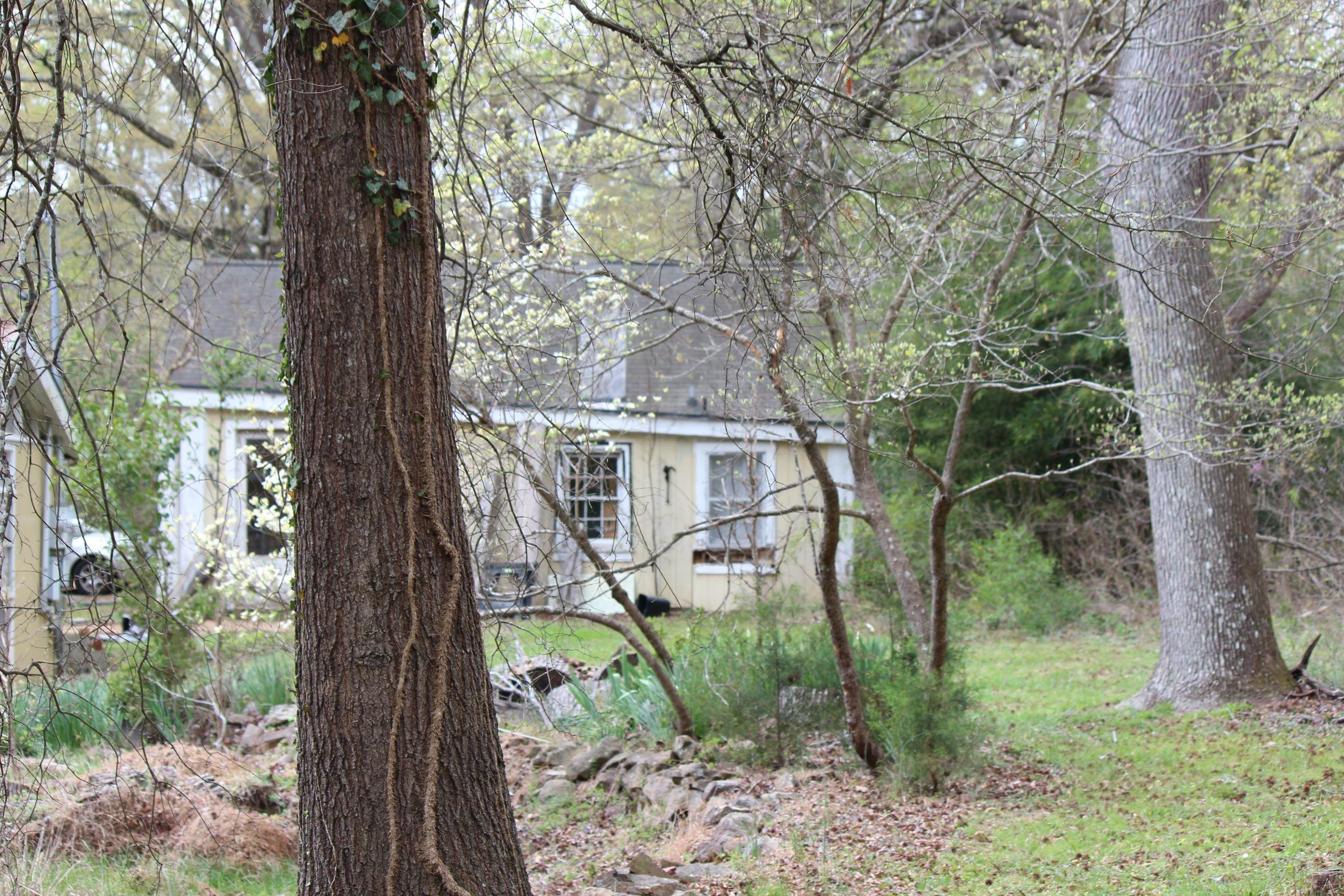 116 Pine Street Carrboro, NC 27510 - Photo 56 of 66 a view of a house with a tree in the forest