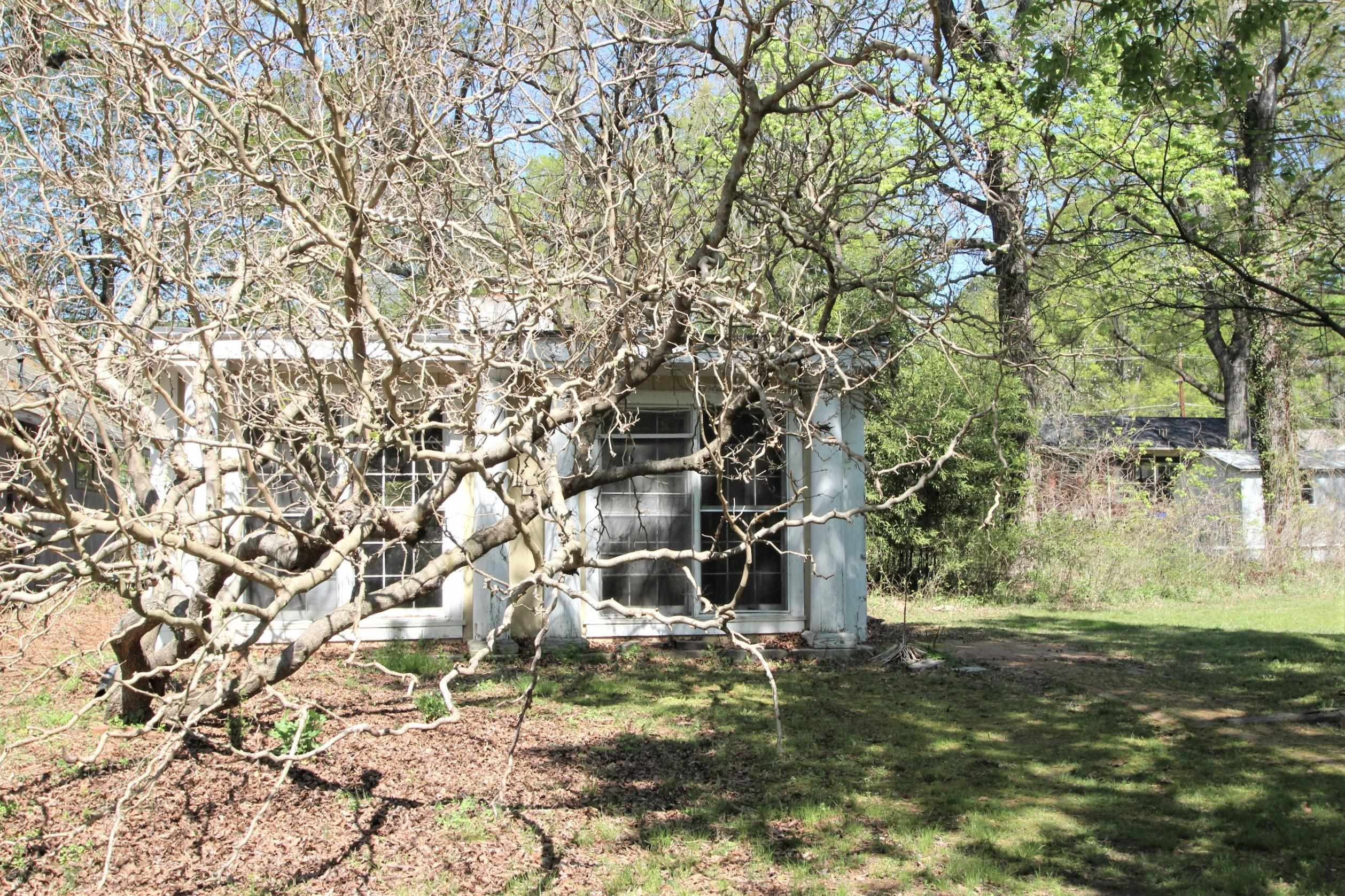 116 Pine Street Carrboro, NC 27510 - Photo 63 of 66 a backyard of a house with lots of green space