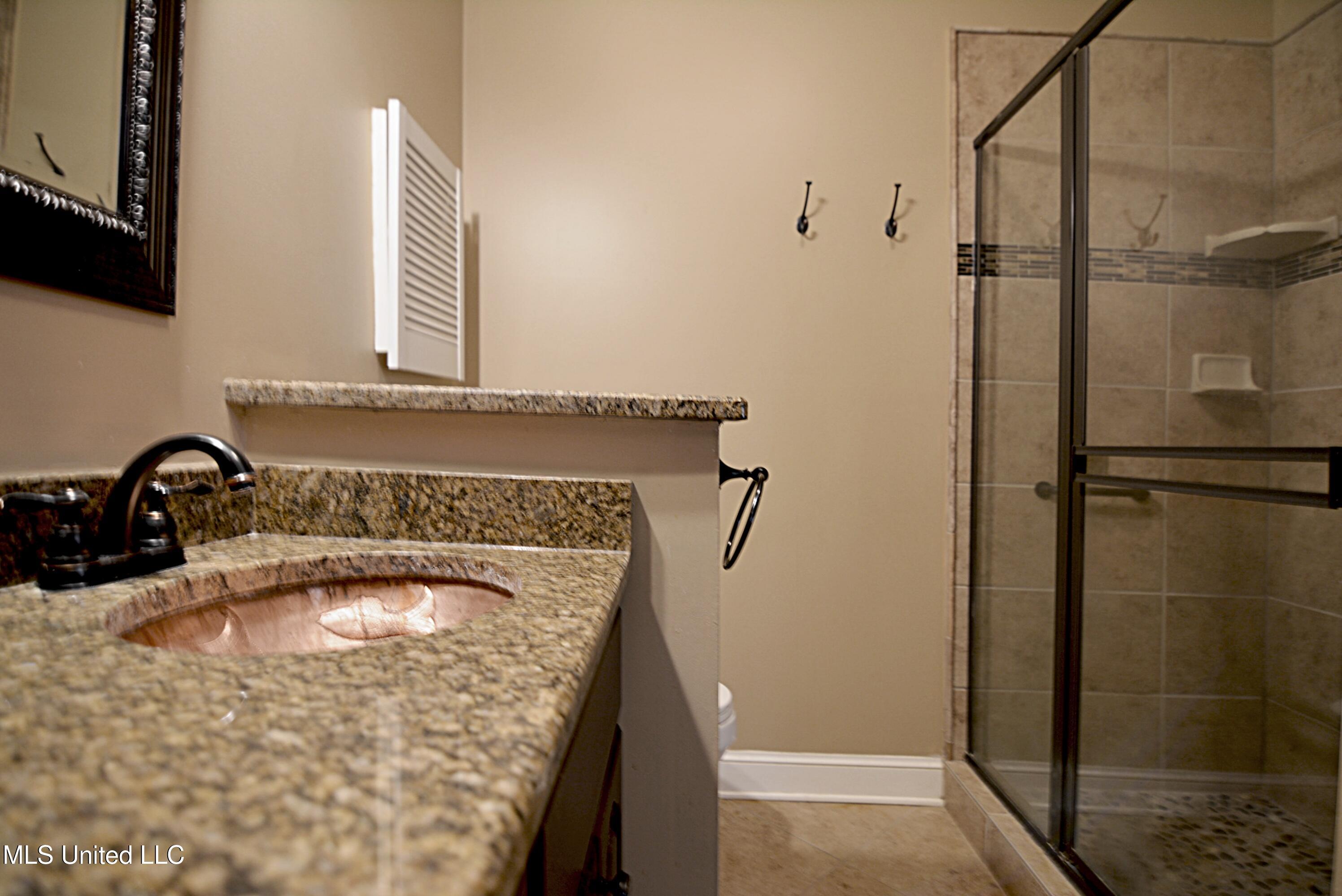 1320 Wooten Road Nesbit, MS 38651 - Photo 18 of 37 Master Bath Two