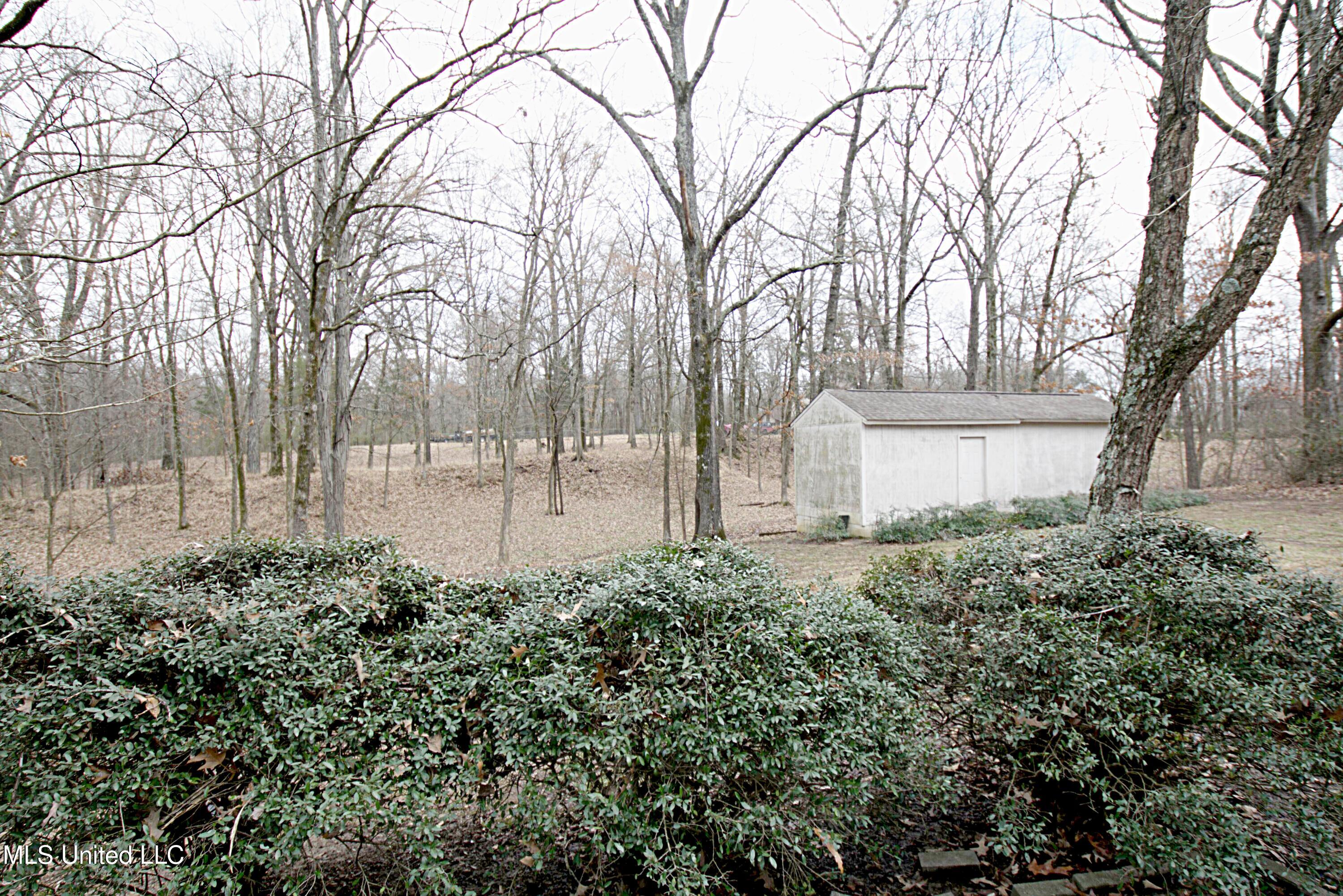 1320 Wooten Road Nesbit, MS 38651 - Photo 35 of 37 View from Patio