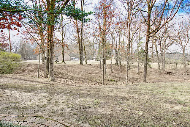 $389,900 | 1320 Wooten Road, Nesbit, MS 38651