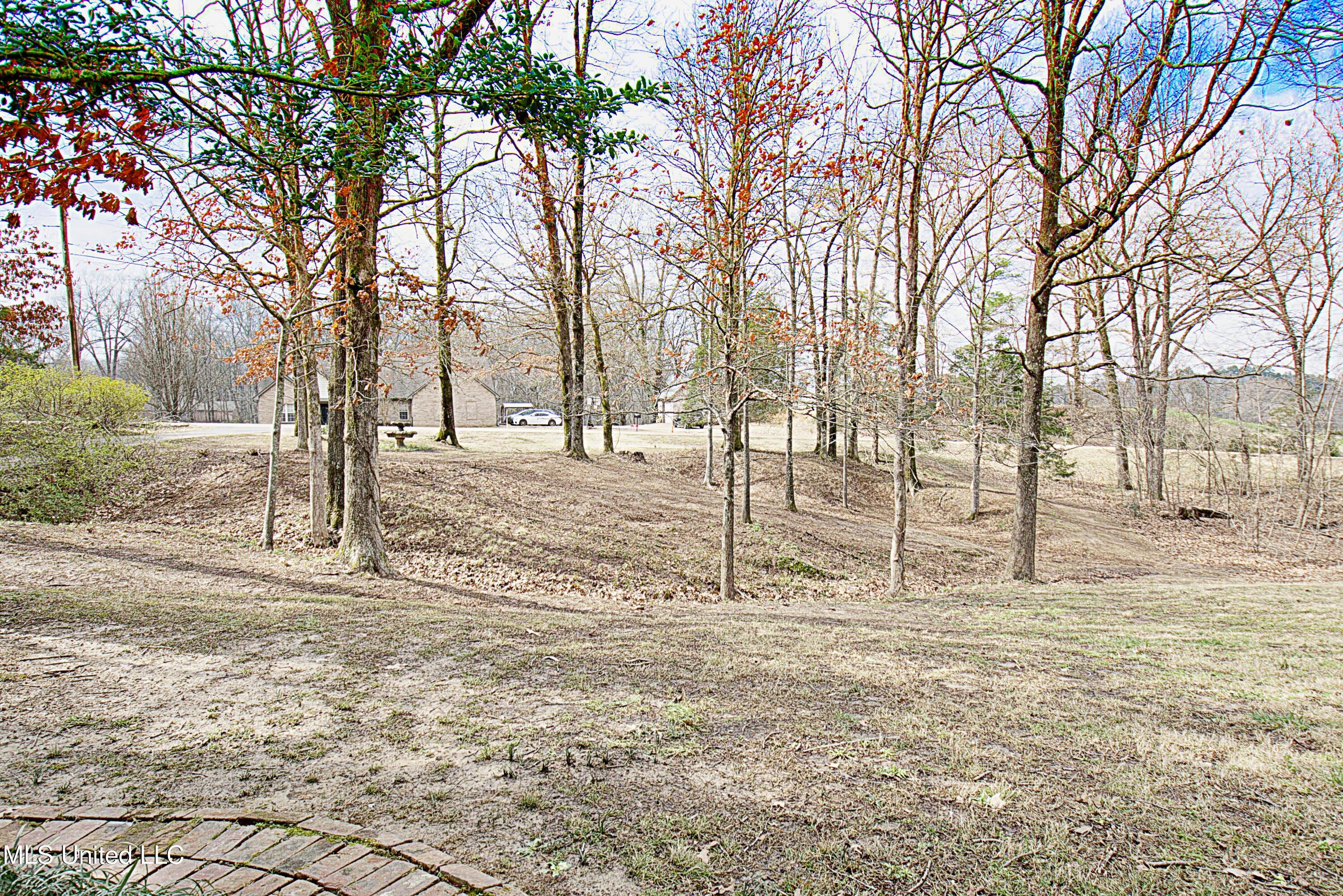 1320 Wooten Road Nesbit, MS 38651 - Photo 4 of 37 Front Yard