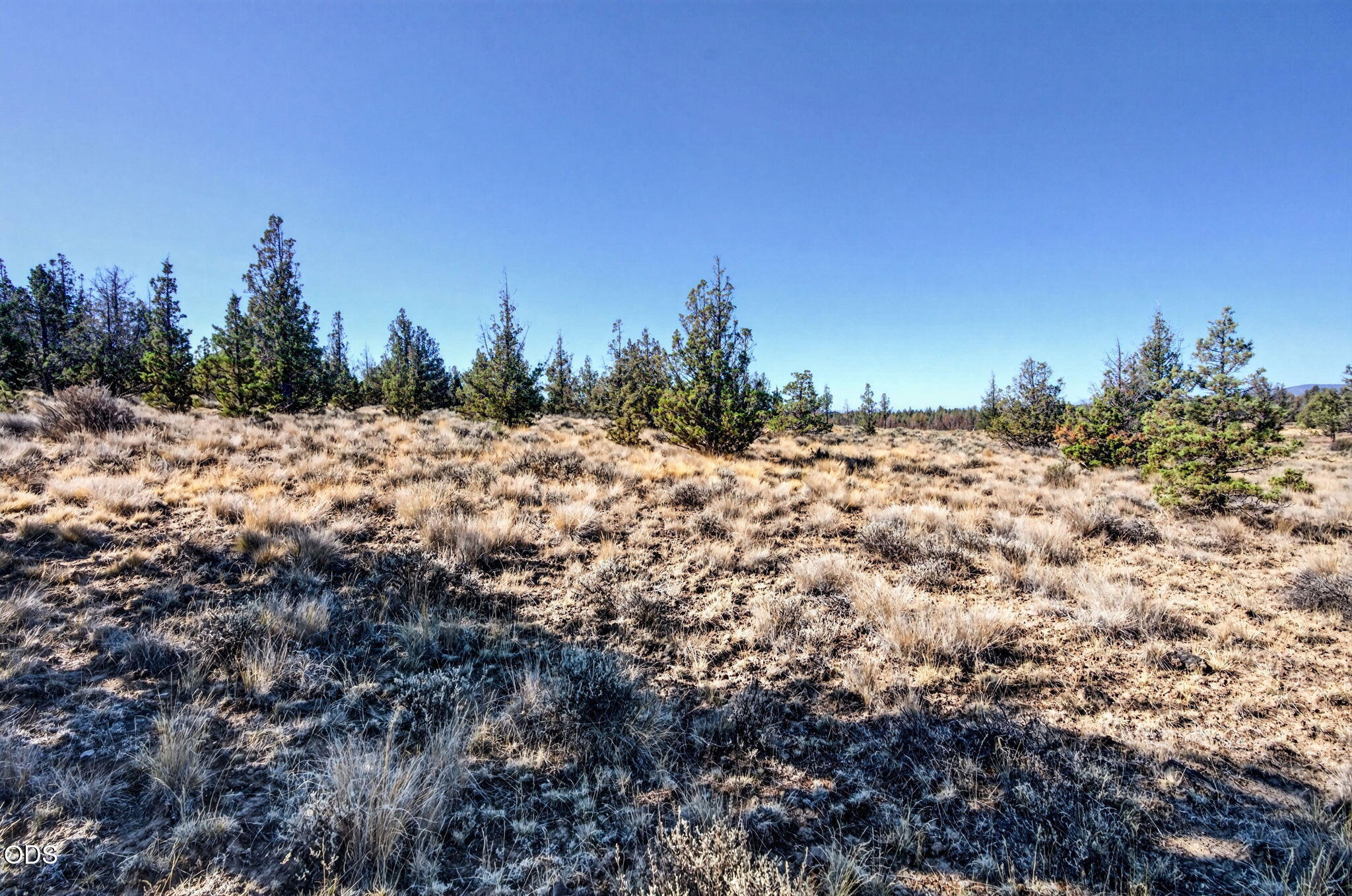 Southeast Laredo Road Prineville, OR 97754 - Photo 8 of 23 Gallery Image 8