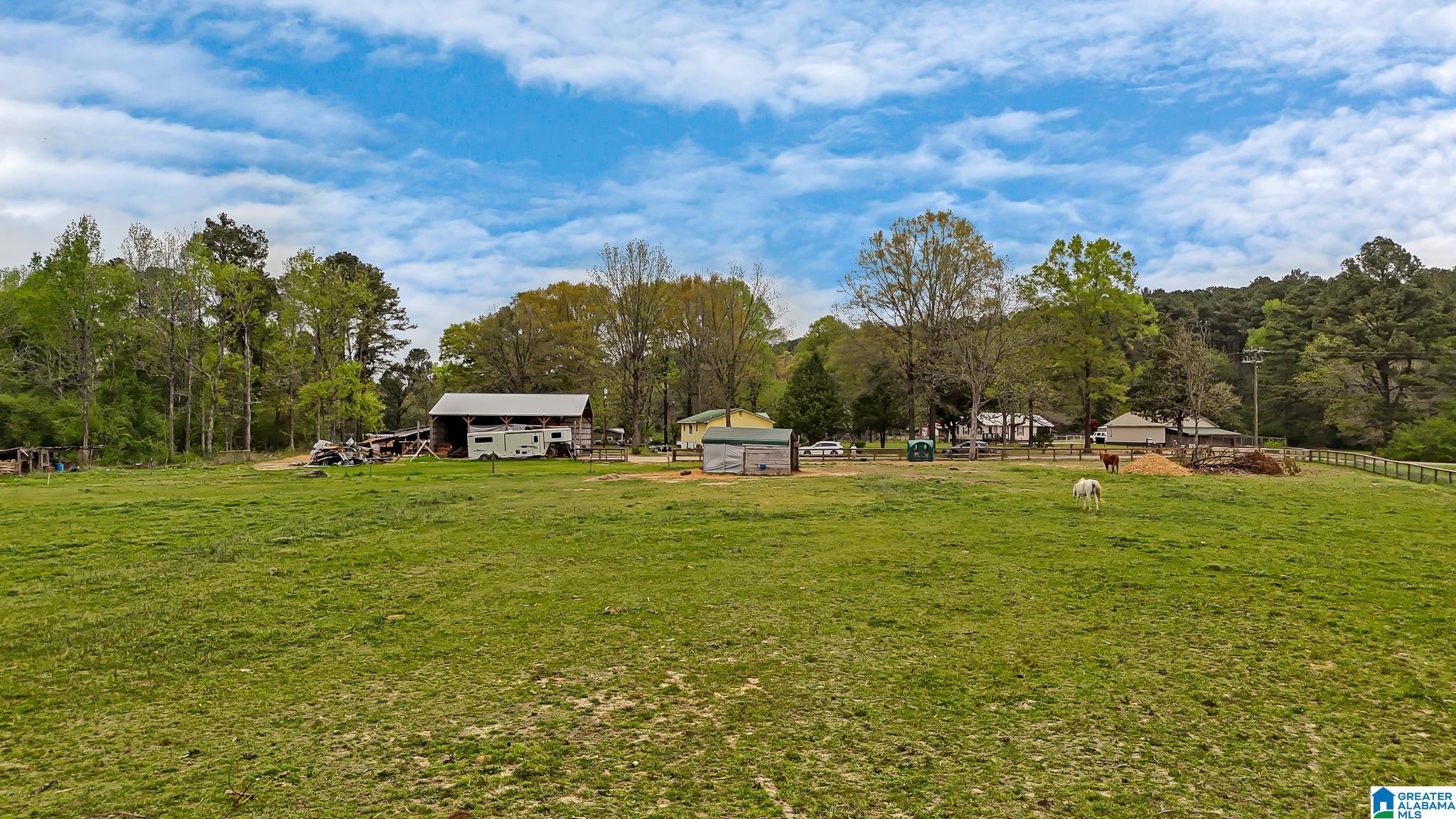 3237 Mud Creek Road Adger, AL 35006 - Photo 23 of 27