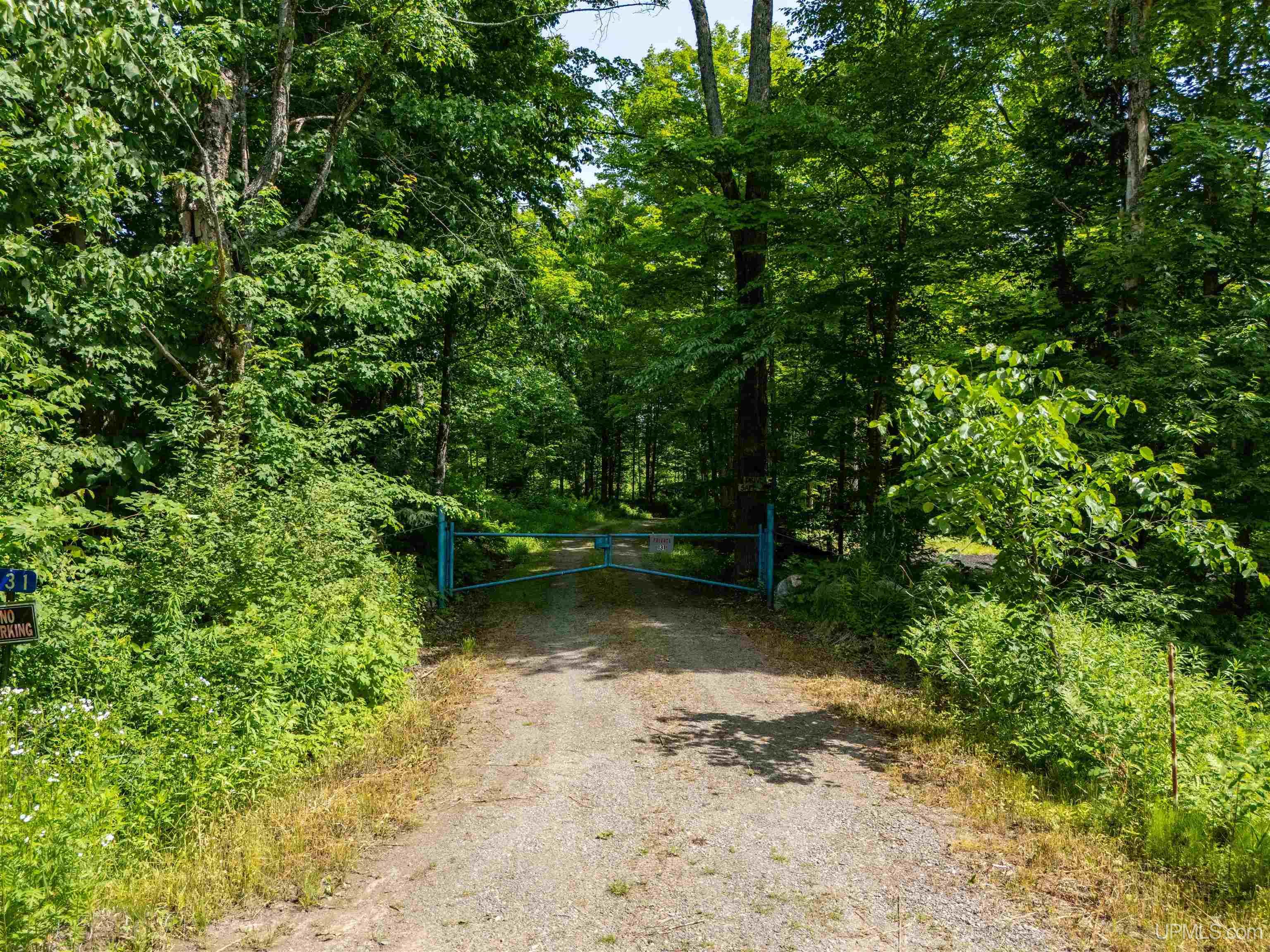 Tbd Pollack Road Iron River, MI 49935 - Photo 3 of 10