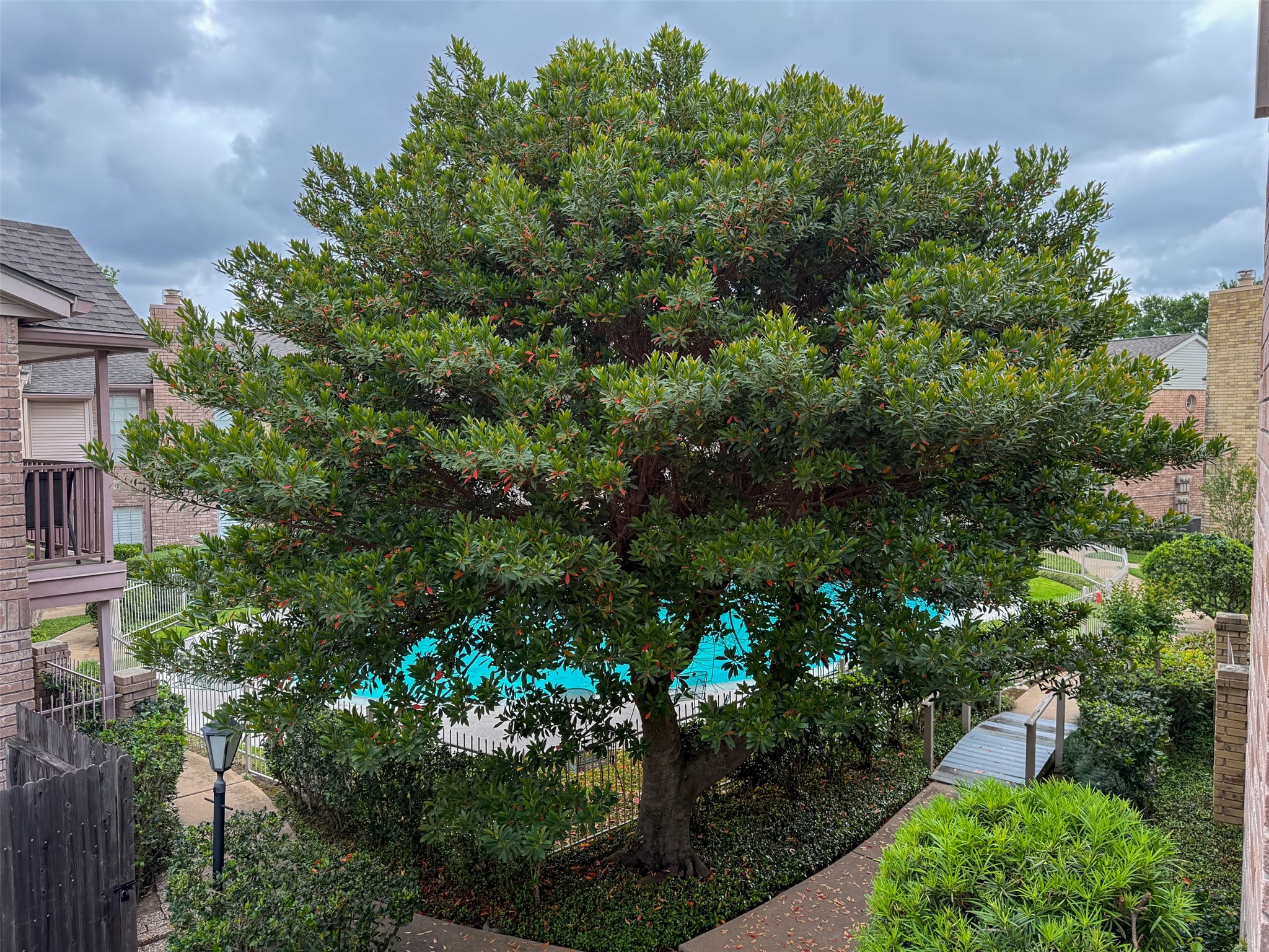 3100 Jeanetta Street, Unit 1104 Houston, TX 77063 - Photo 18 of 19 a picture of street view