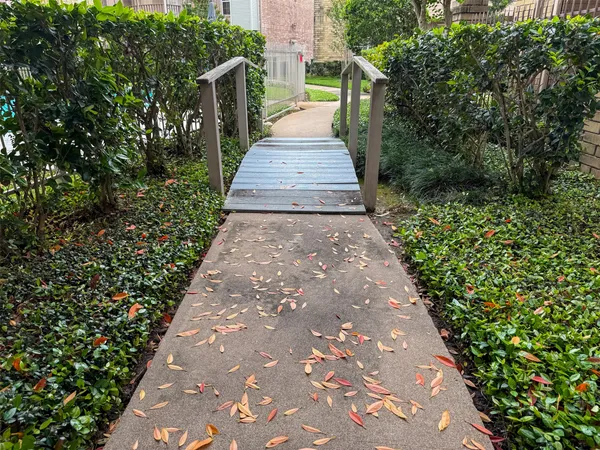 a view of a garden with pathway