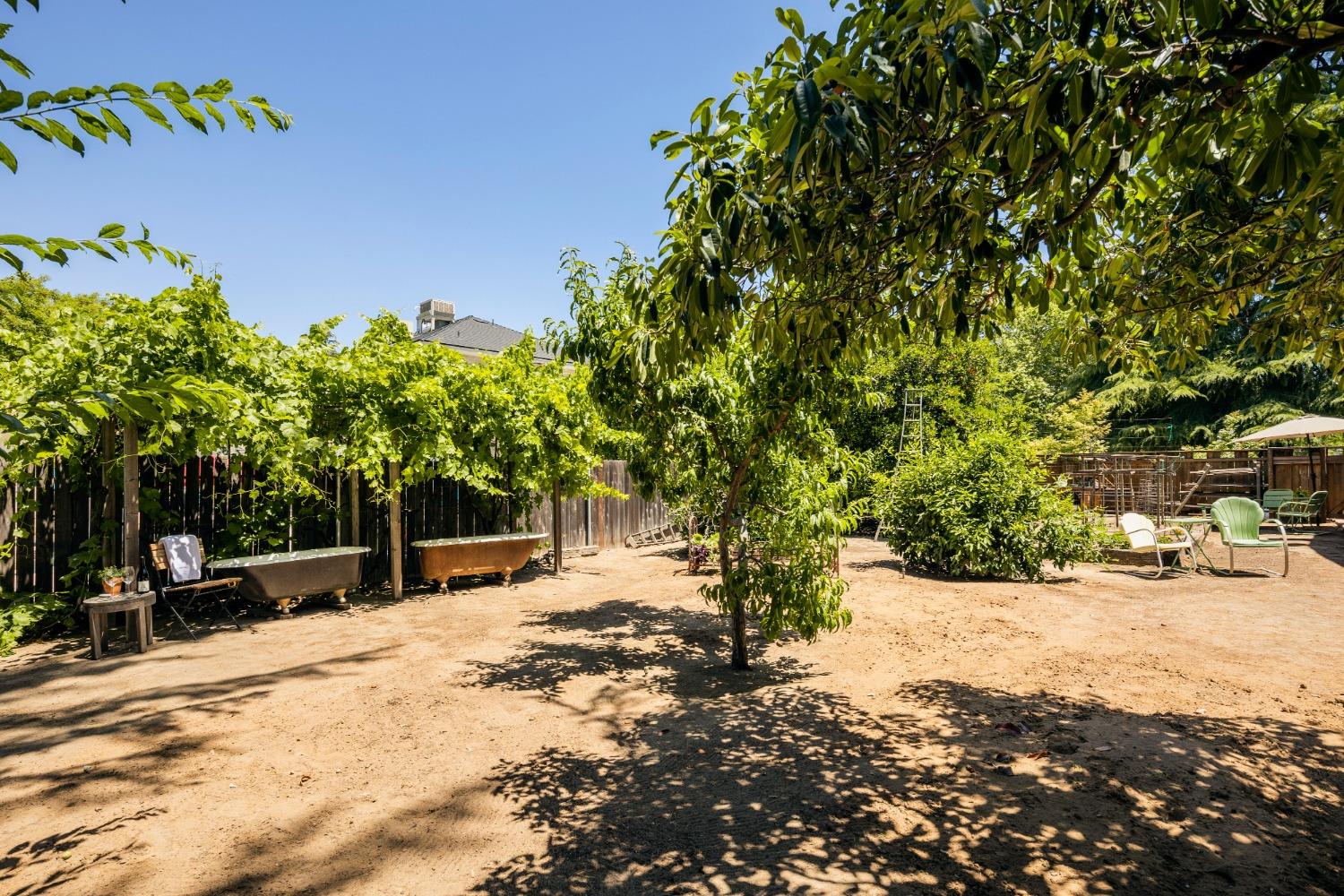 46 Pollasky Avenue Clovis, CA 93612 - Photo 40 of 69