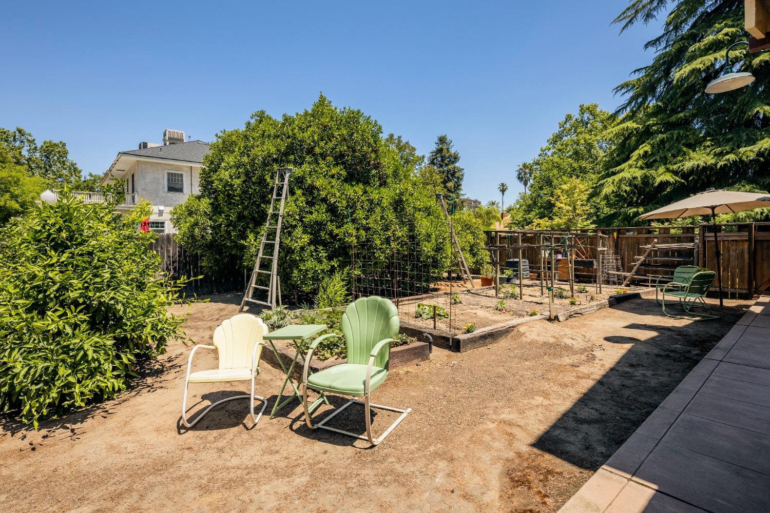 46 Pollasky Avenue Clovis, CA 93612 - Photo 42 of 69