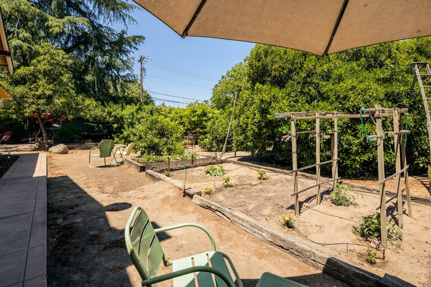 46 Pollasky Avenue Clovis, CA 93612 - Photo 43 of 69