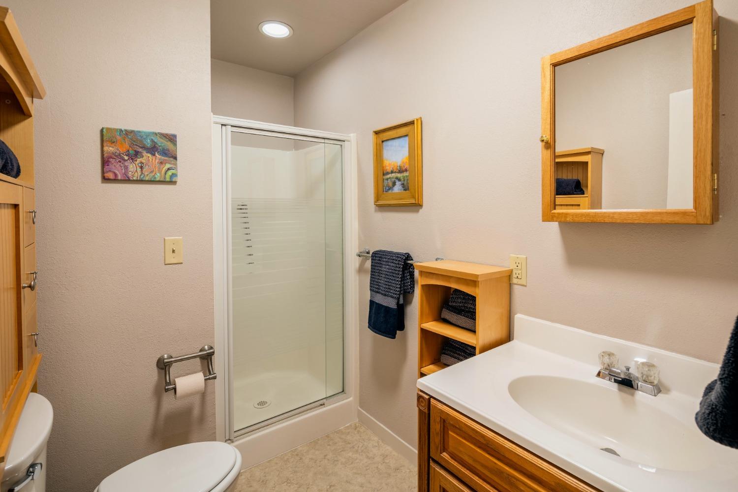 46 Pollasky Avenue Clovis, CA 93612 - Photo 52 of 69 a bathroom with a sink a toilet and shower