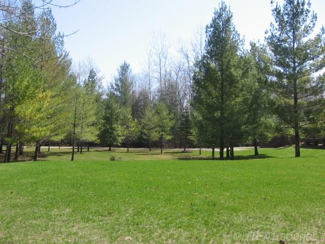 6680 Holverson Road Carsonville, MI 48419 - Photo 41 of 52 31238470-40.JPG