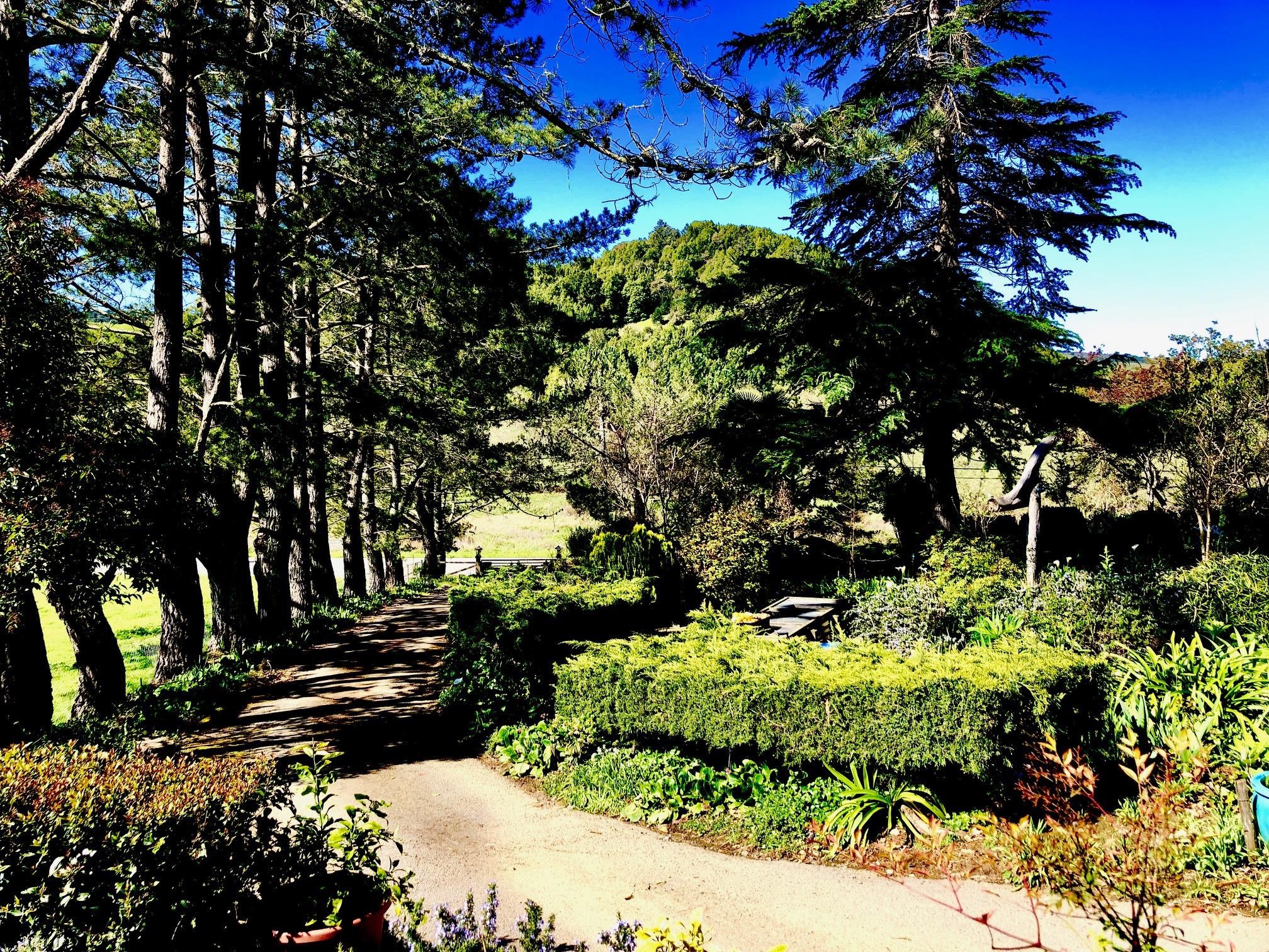 5500 Nicasio Valley Road Nicasio, CA 94946 - Photo 3 of 4 IMG_2397 - Copy