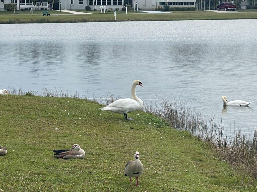2588 Southwest Monarch Trail Stuart, FL 34997 - Photo 18 of 30 18