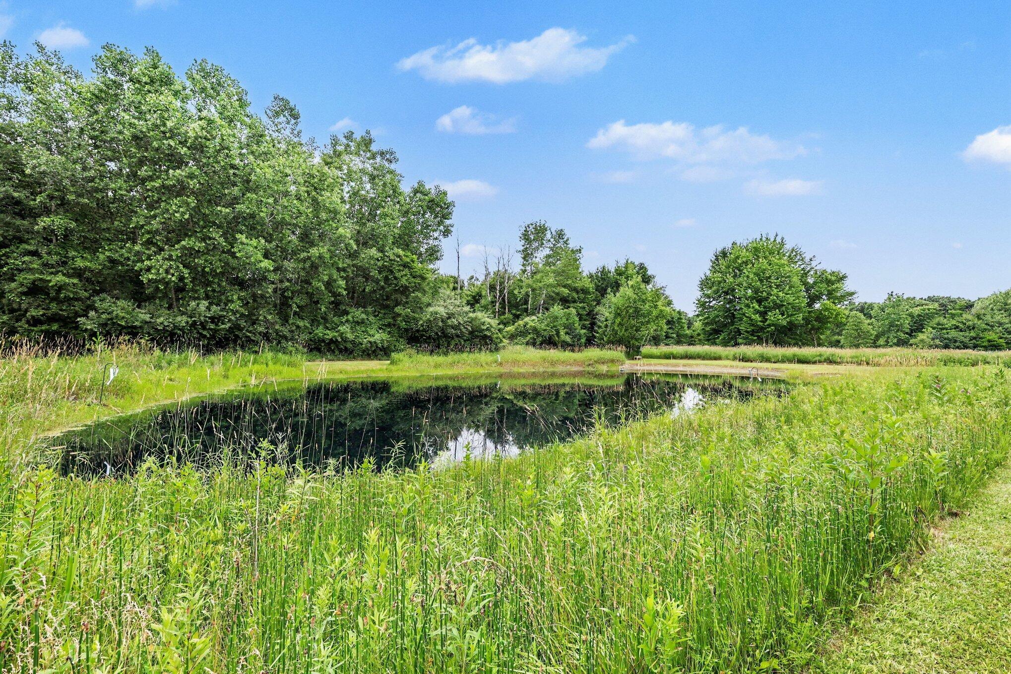 8202 Kennedy Road Munith, MI 49259 - Photo 26 of 39 024_file_4580