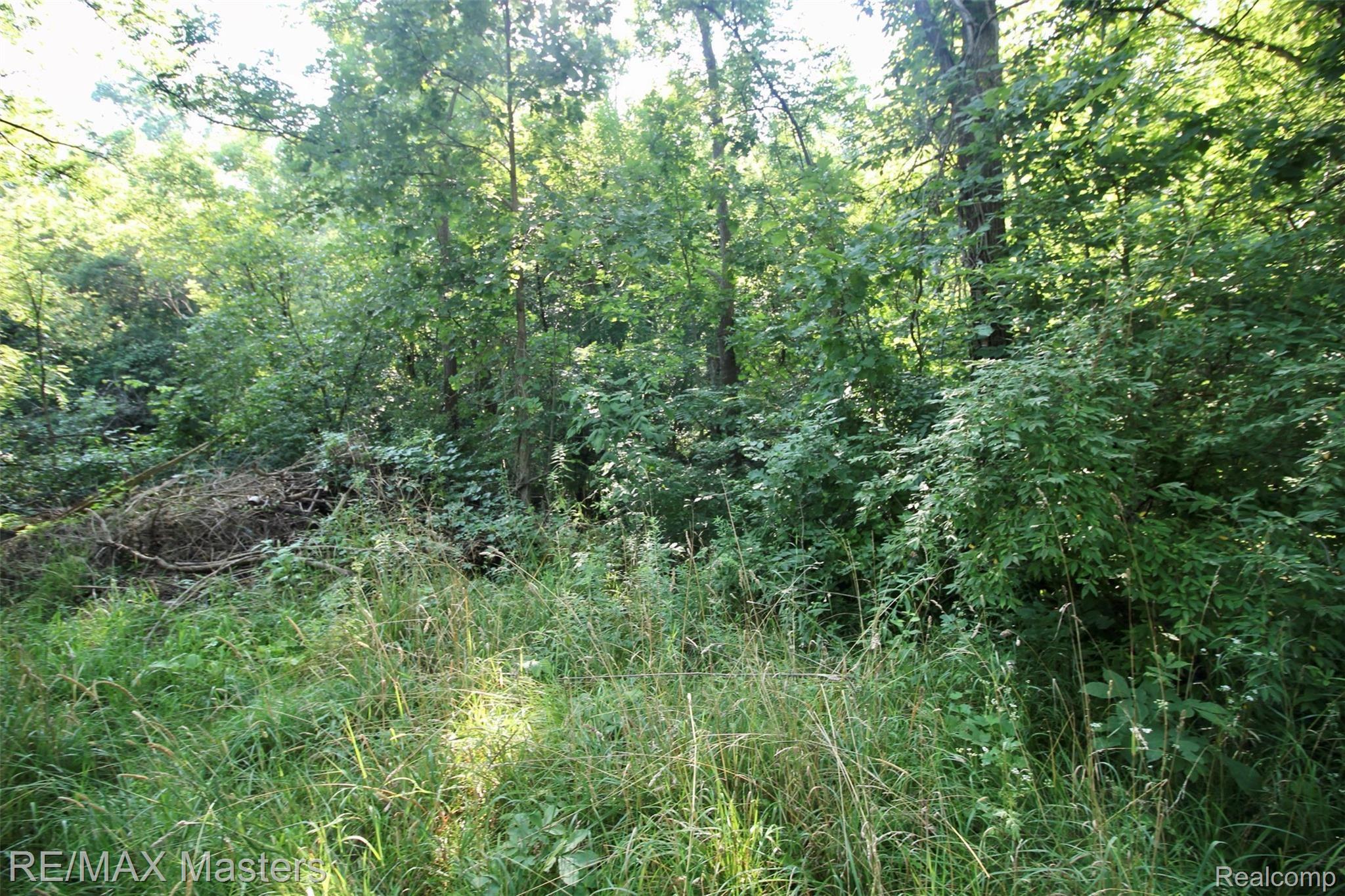 12040 Creek Road Carleton, MI 48117 - Photo 45 of 47 Some of it is low land with a creek running through it, but a peaceful beautiful view of nature!