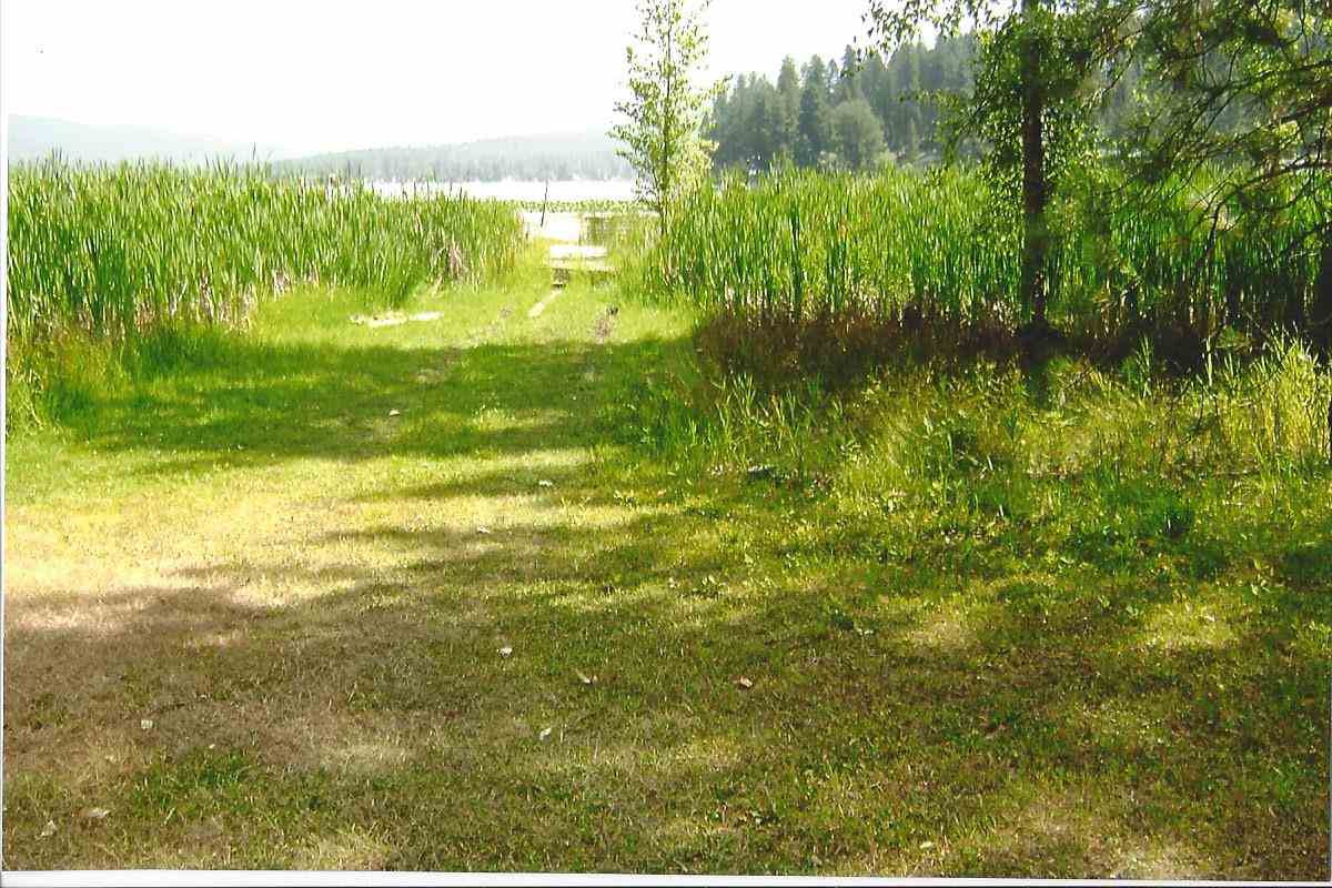42294 South Loon Lake Road Loon Lake, WA 99148 - Photo 14 of 18 Gallery Image 14
