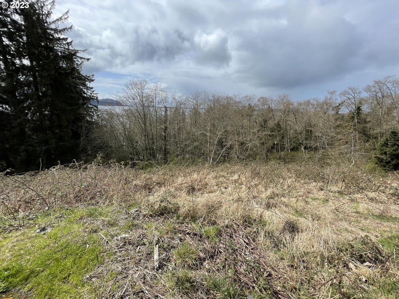 20 North Ridge Drive Bay City, OR 97107 - Photo 2 of 5