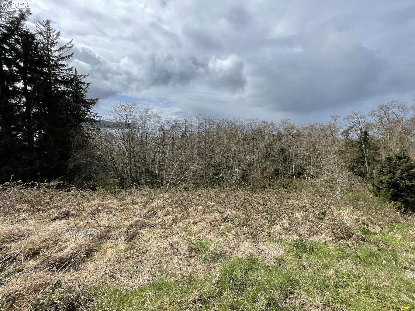 20 North Ridge Drive Bay City, OR 97107 - Photo 4 of 5