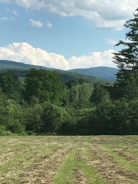 1329 Mad Tom Road Dorset, VT 05253 - Photo 26 of 28 Gallery Image 26