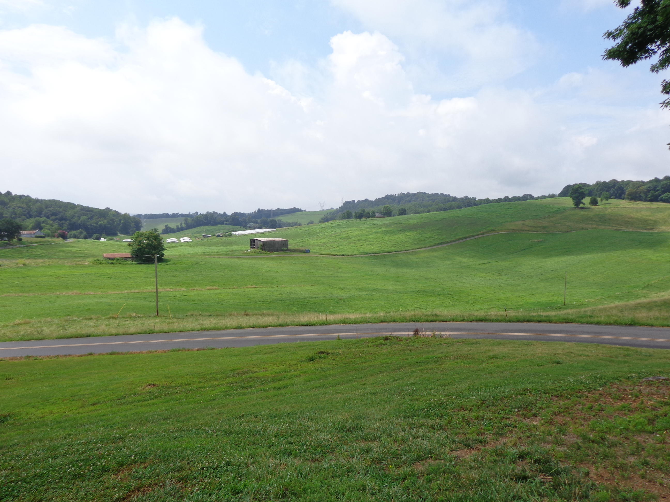 429 Greenlee Road Rutledge, TN 37861 - Photo 2 of 31 #579327 greenlee (30)