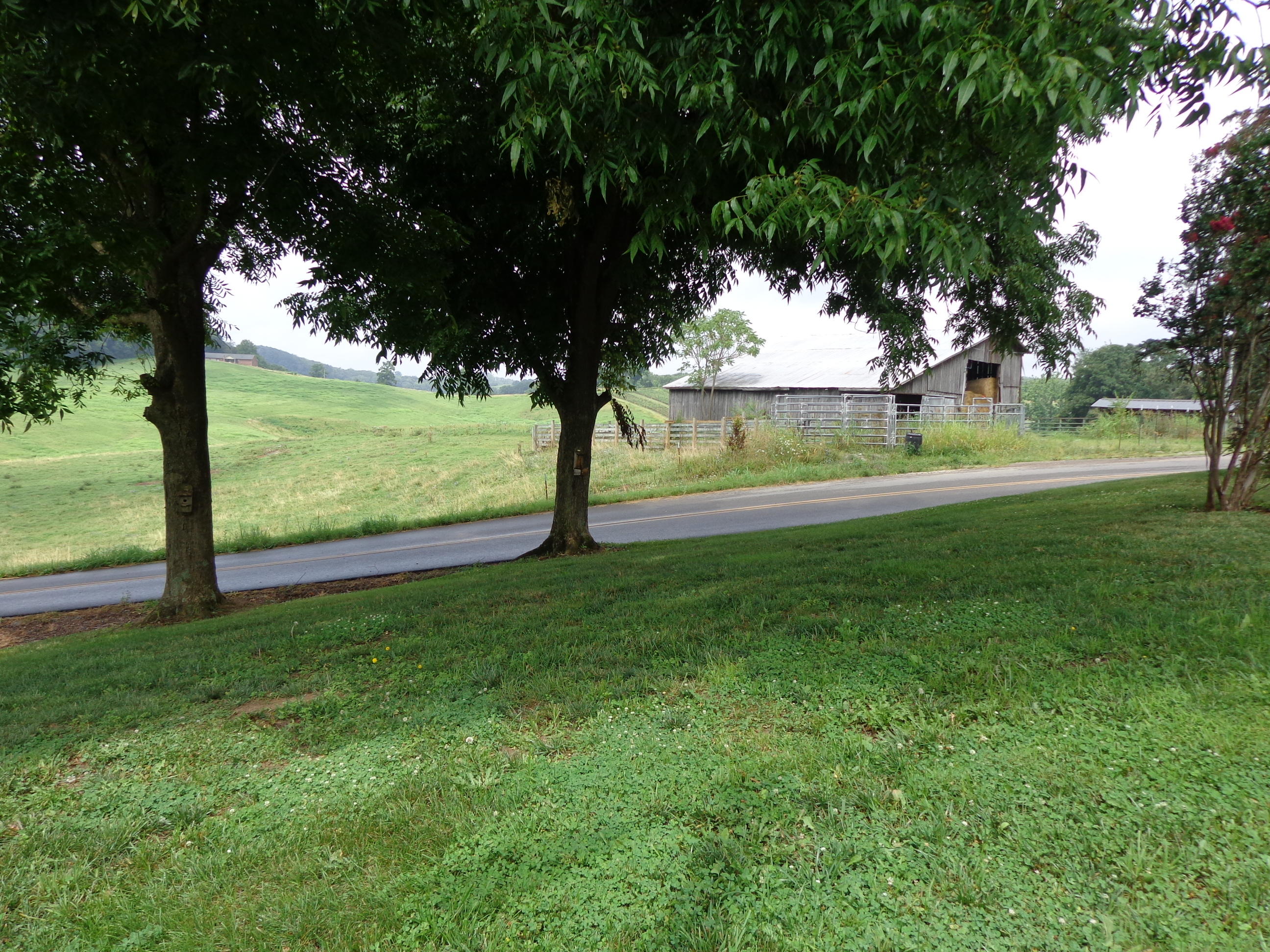 429 Greenlee Road Rutledge, TN 37861 - Photo 21 of 31 #579327 greenlee (1)