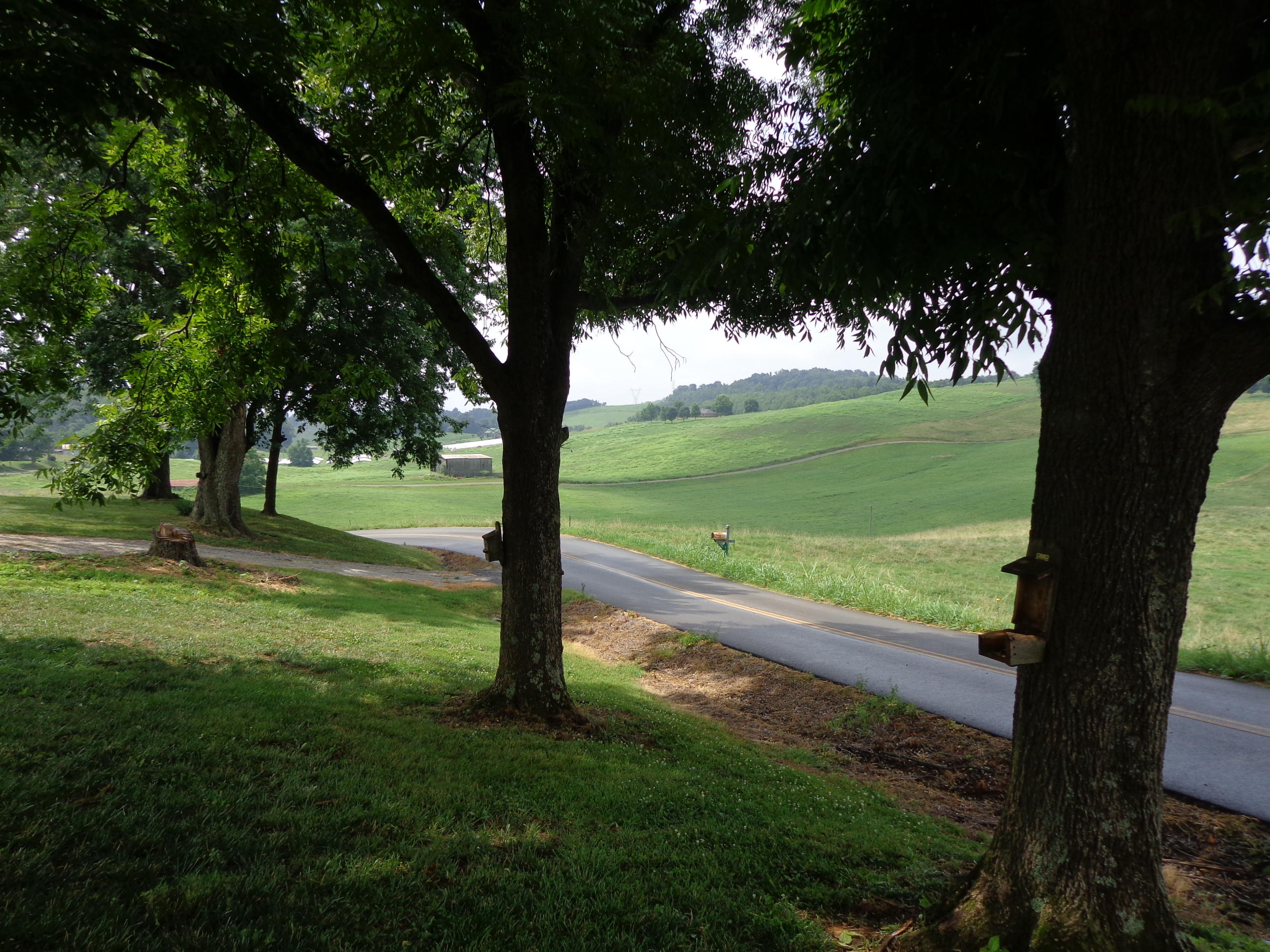 429 Greenlee Road Rutledge, TN 37861 - Photo 23 of 31 #579327 greenlee (3)
